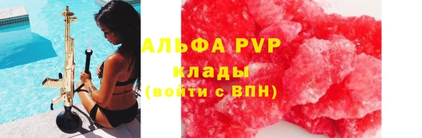 тгк Бородино